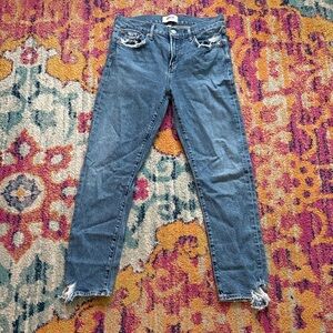 Agolde Classic Blue Skinny Jeans